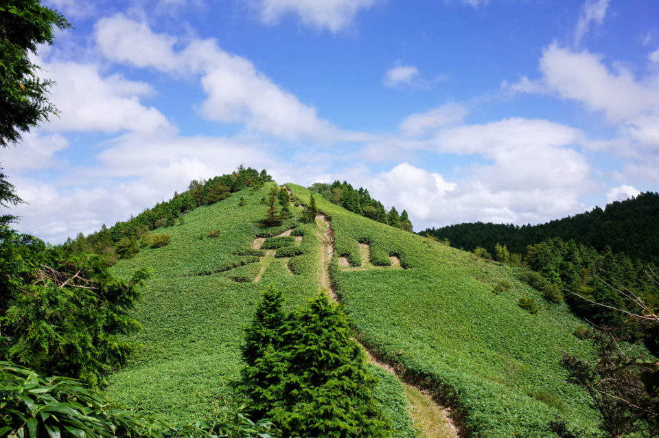 泉山トレッキング、笠菅峠～山頂ピストン（岡山県鏡野町）