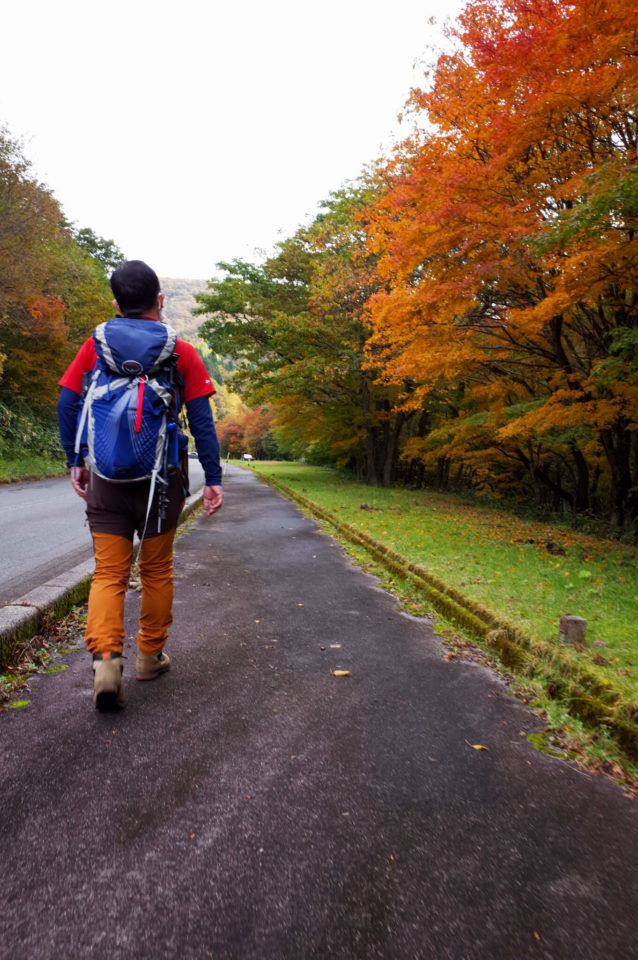 駐車場から牛曳山登山口までの徒歩も既に紅葉が綺麗な道。