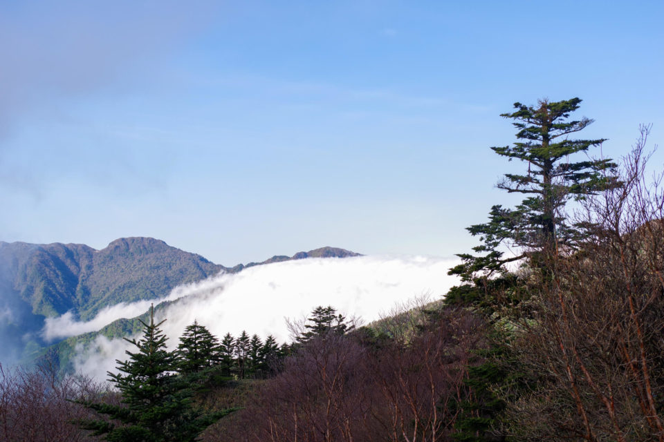 滝雲が愛媛側から高知側に流れてた。