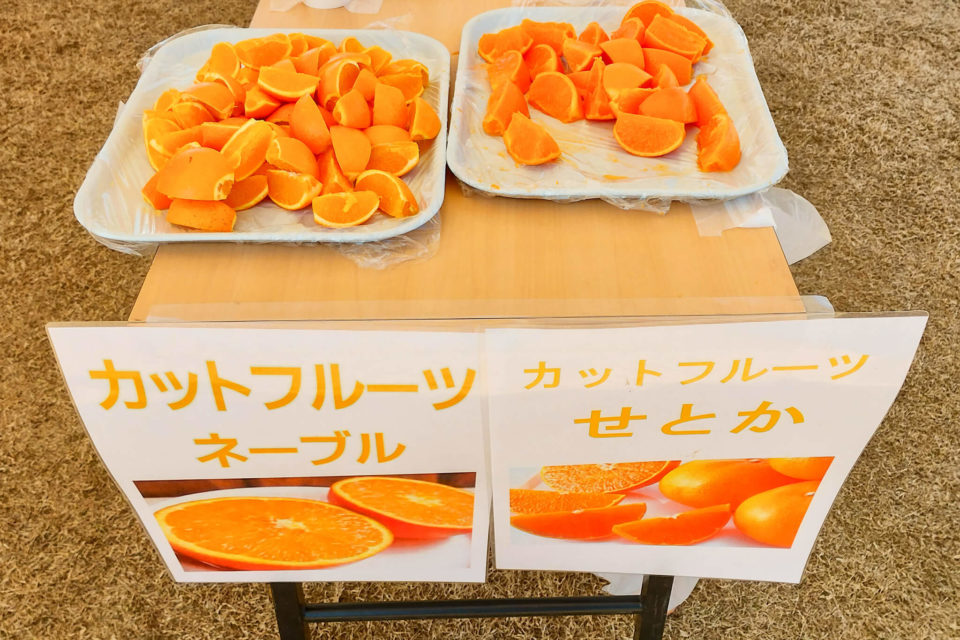 柑橘が特産な島々なのでカットされた柑橘がどんどん振舞われていました。