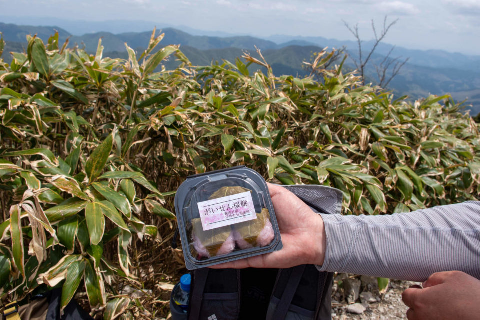 山頂おやつは麓の道の駅で買った桜餅（新庄村といえばひめのもちという餅米）