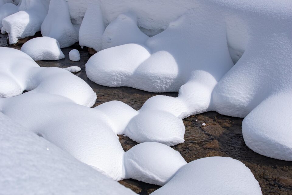 面白い形になるんだねえ