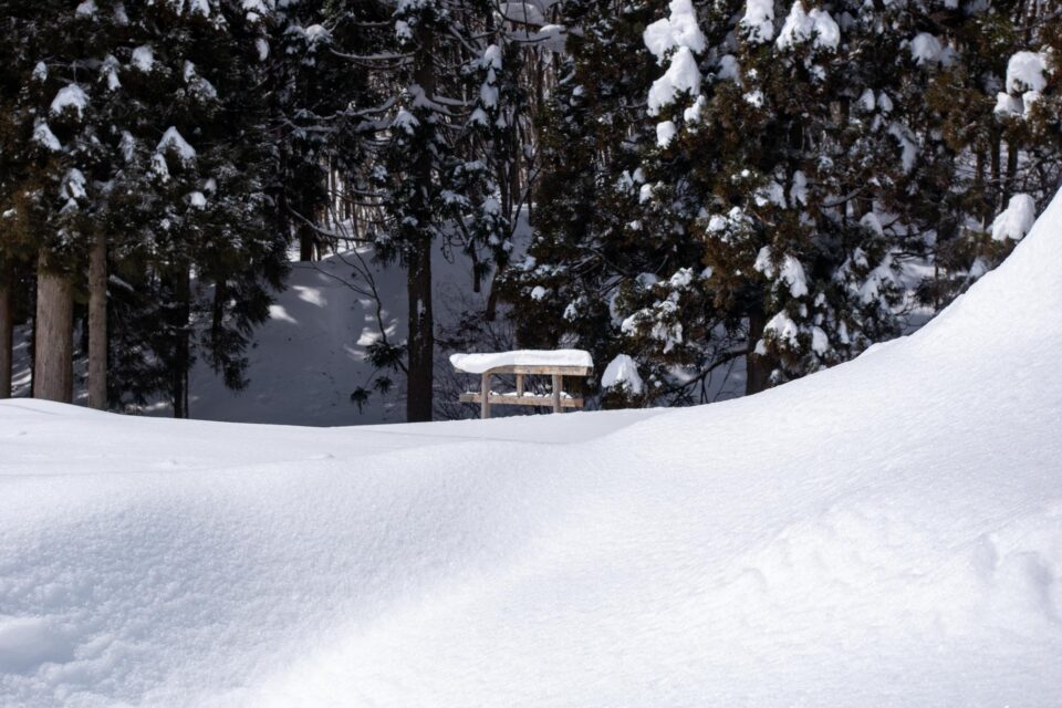雪が積もった向こうの方に鳥居が見えた。冬はお参りできないね。