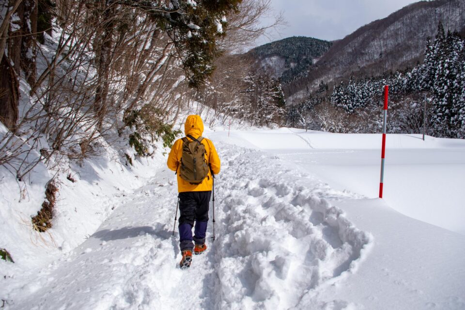踏み固められていて助かった！