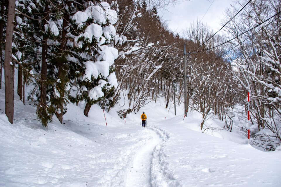 歩きやすそうに見えて、ところどころでズボっと膝まではまるからまあまあ体力を要しました