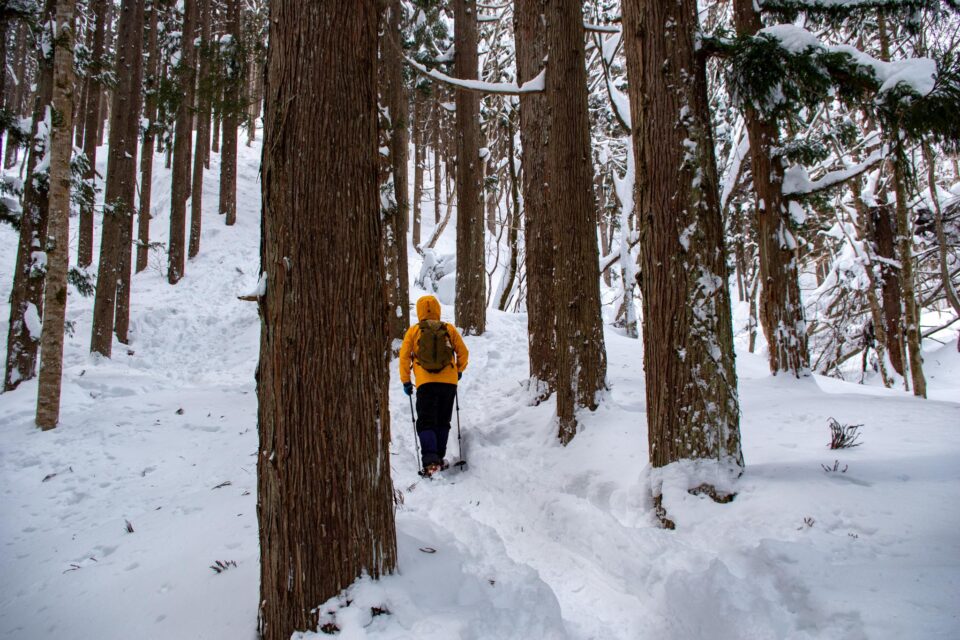 登山道に入ったタイミングで雪が降り出しました。