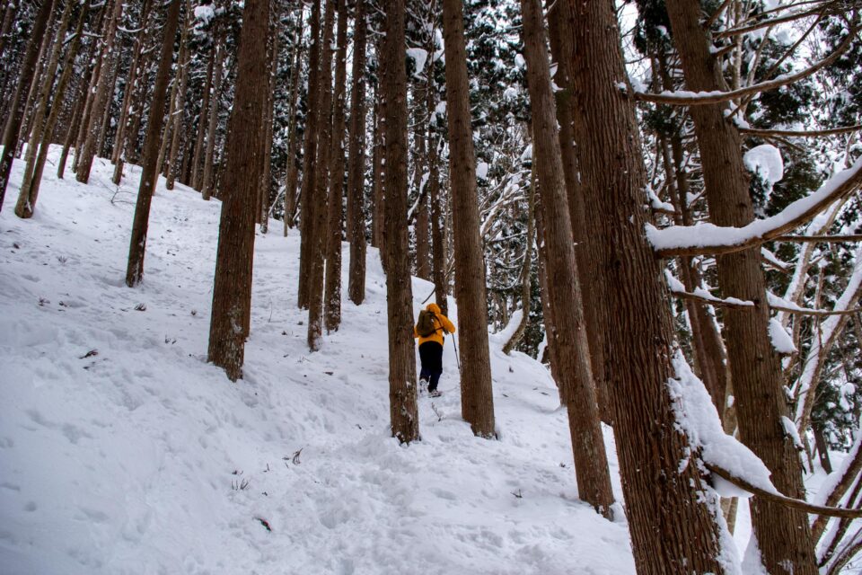 この区間はみんな好き好きに歩いているみたいでハッキリと踏み固められていない部分もあり困惑（初心者だから！）