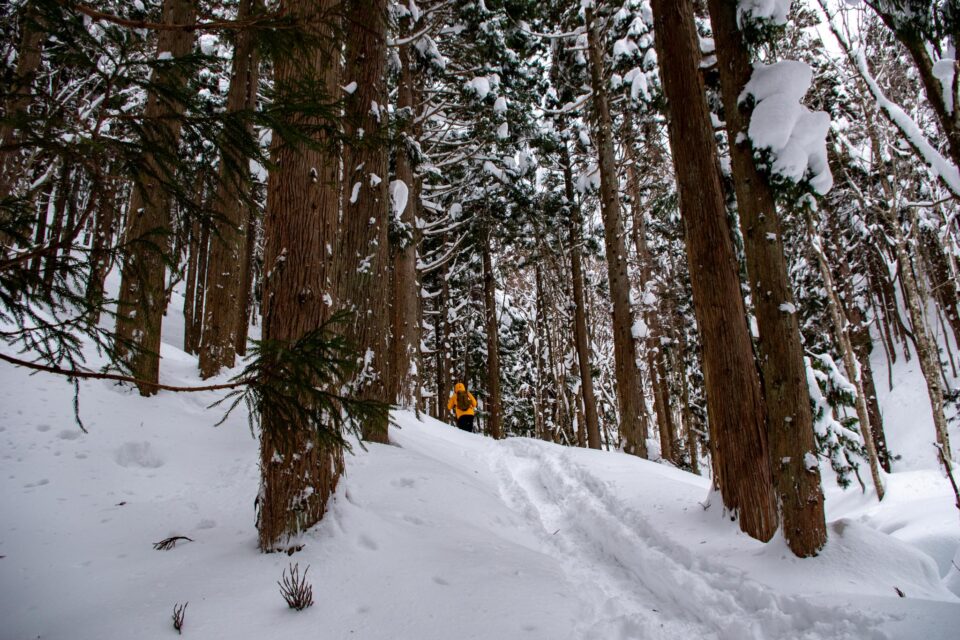 斜面で踏み抜いて復帰するのに全身雪まみれになったりも😅