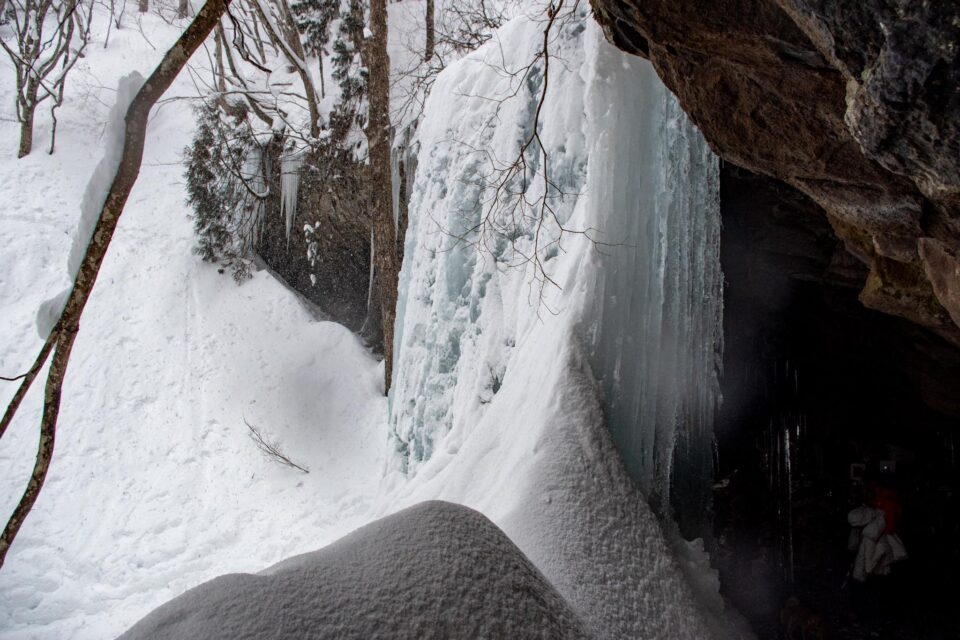 横からみたらこんな感じ