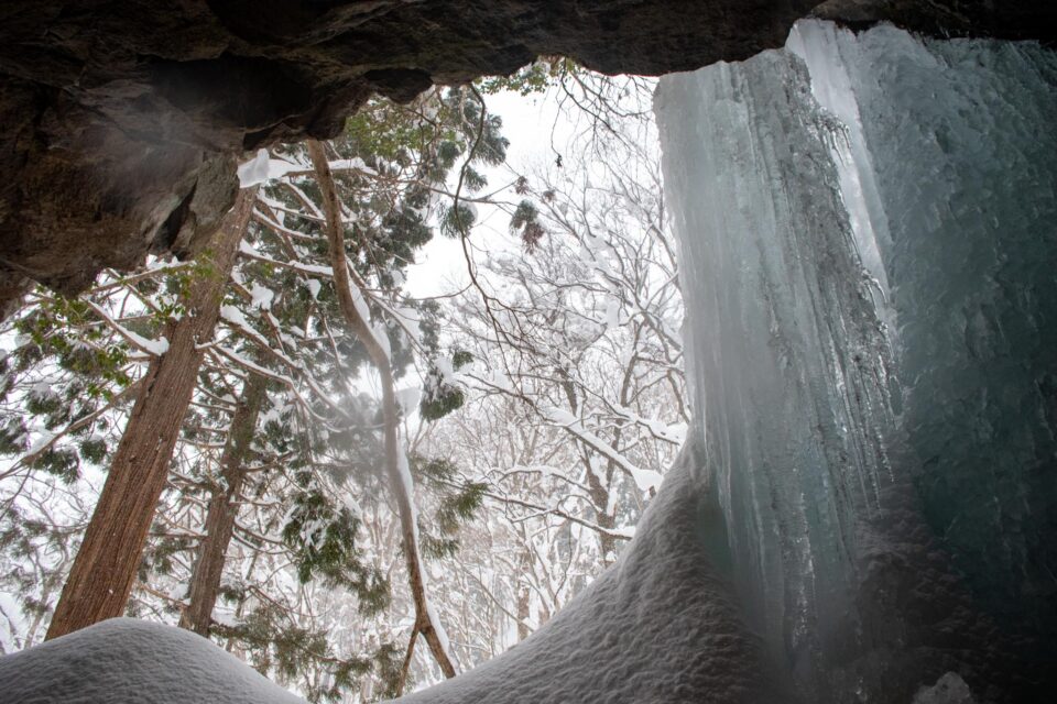 裏に入ってみます。裏から見上げたらこんな感じ。