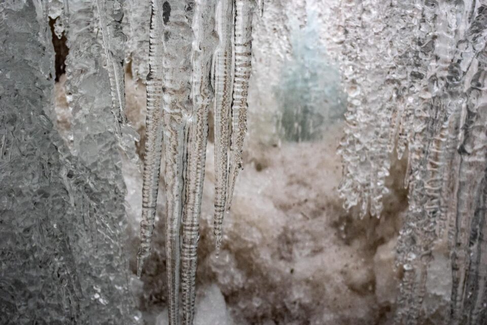 光が透けてキラキラと美しい。自然の造形美にうっとりします。