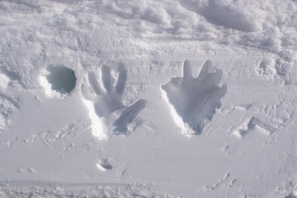 誰かが残したやつ