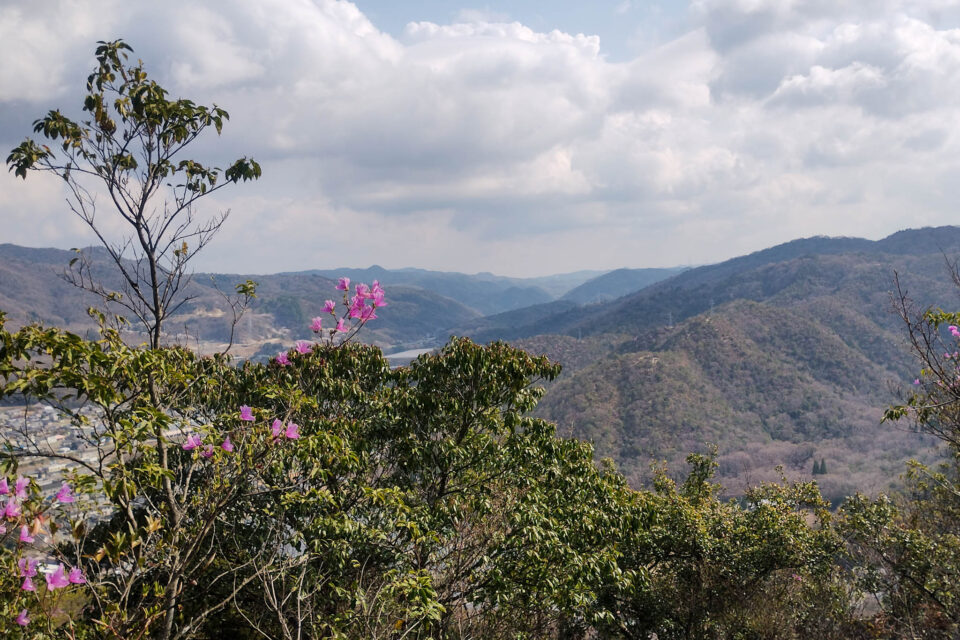 右手前の電柱が2本立っている尾根から下は、ぐるっと周回して最後に待っていた激下りゾーンですね。(今見て気づきました。)