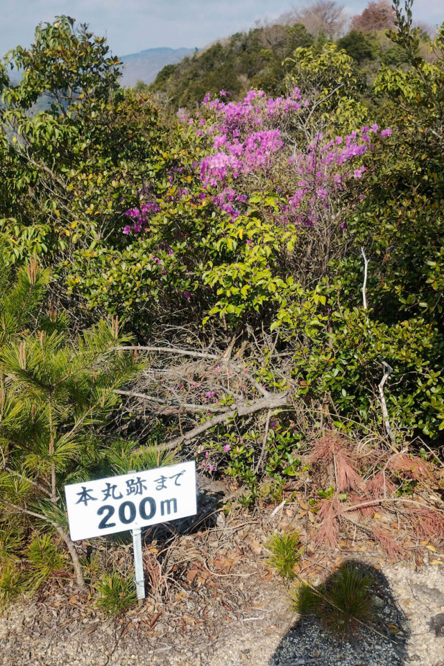 富田松山城本丸へ、いざ。