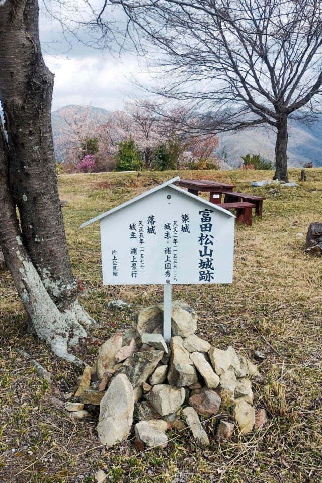 山頂の富田松山城本丸跡はさらに広く、テーブル&ベンチありでした。桜も少し咲いていたから、お花見登山に良いかも。