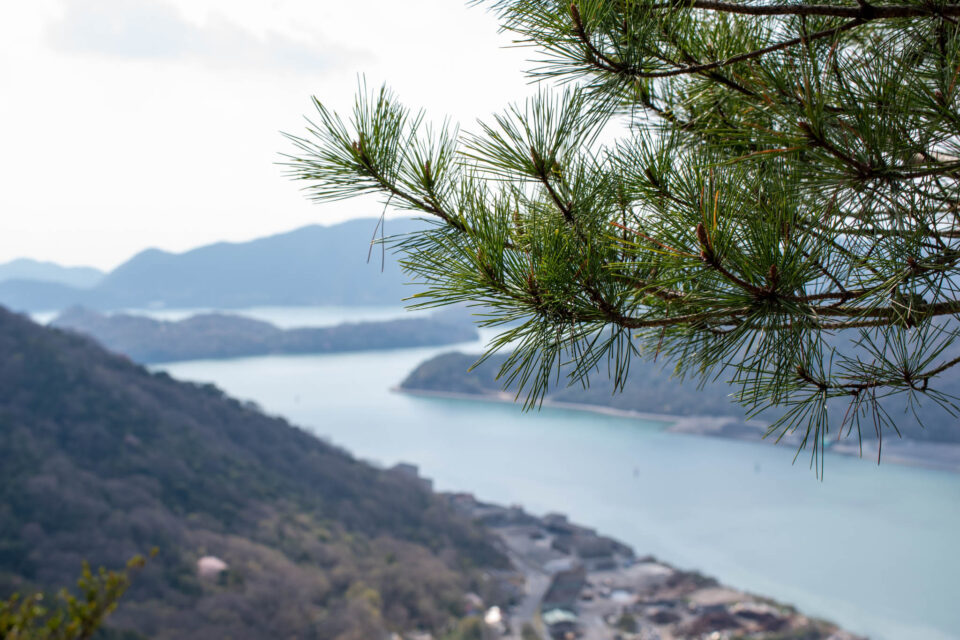 東出丸~本丸の間がこの山行で一番海を眺めながら歩ける道だったかも。