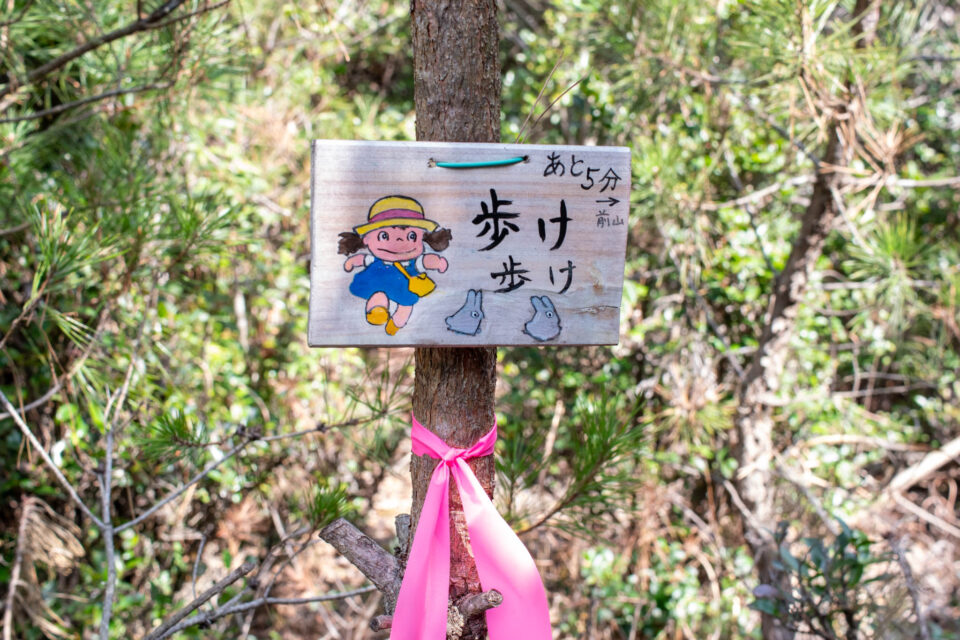 メイちゃん、かわいい