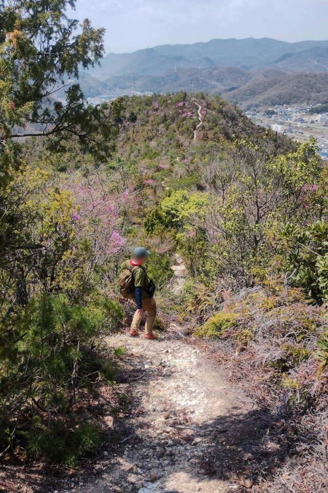 ここはまだまだ普通の下り。この先の稜線が良く見えてます。まだアップダウンするんだね。