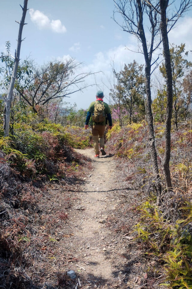 平地の天国ゾーン