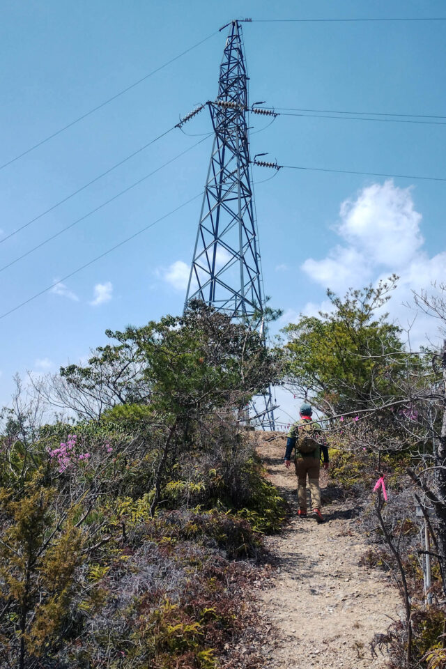 富田松山に登る途中に見えてた尾根の鉄塔ですね。