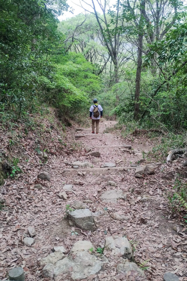 八幡宮から分岐まで下り、山頂に向かわずすぐ下山しました。(時間がないので)