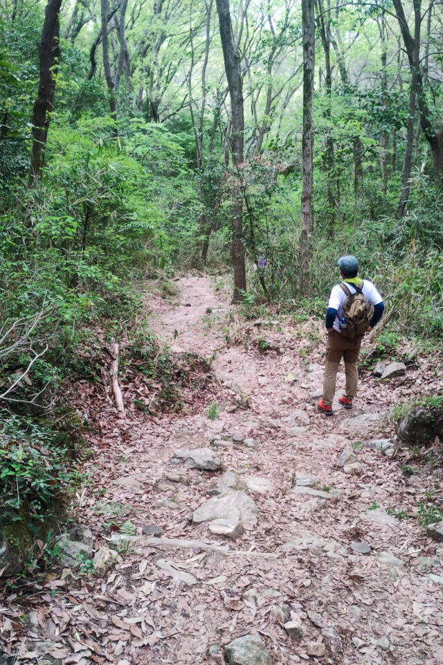 このショートカットのコースは眺望もないし正直楽しくはないです😅