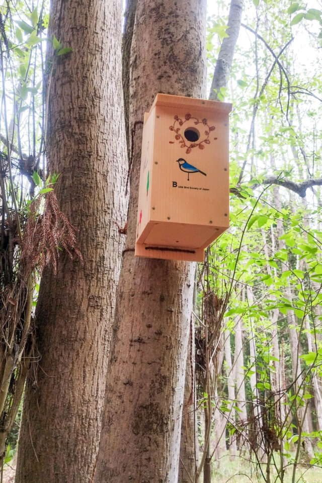 この巣箱、めっちゃかわいい!