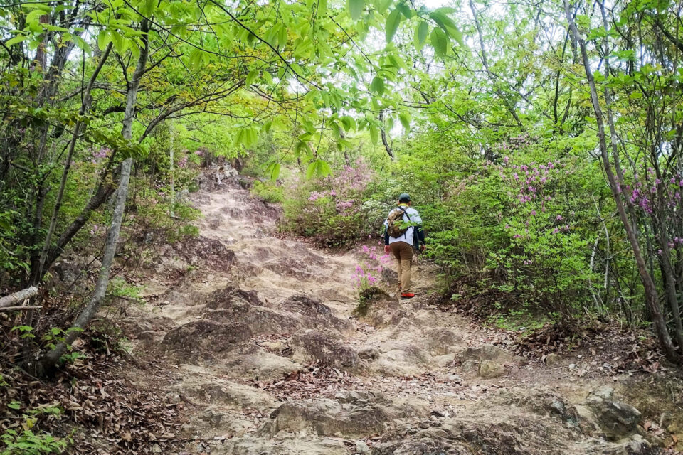 この時期は新緑の葉とピンクのつつじが綺麗!