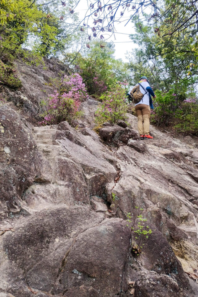 普通の登山道より断然楽しい!