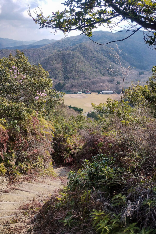 駐車場の前にあった品川グラウンドが眼下に見えてきました。