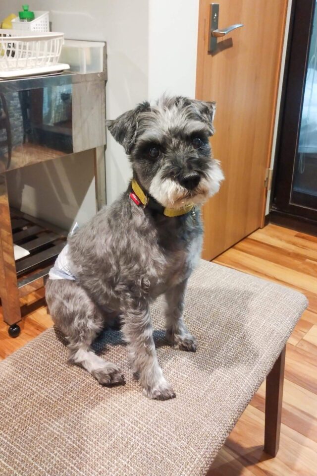 わんこOKの部屋にはミニキッチンや冷蔵庫、電子レンジもありました。これ便利だったな。トイレ・バスもありました。部屋によってはそういう設備はなく共有スペースを使うことになるようです。