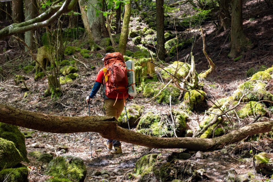 しばらくは苔むした道でした
