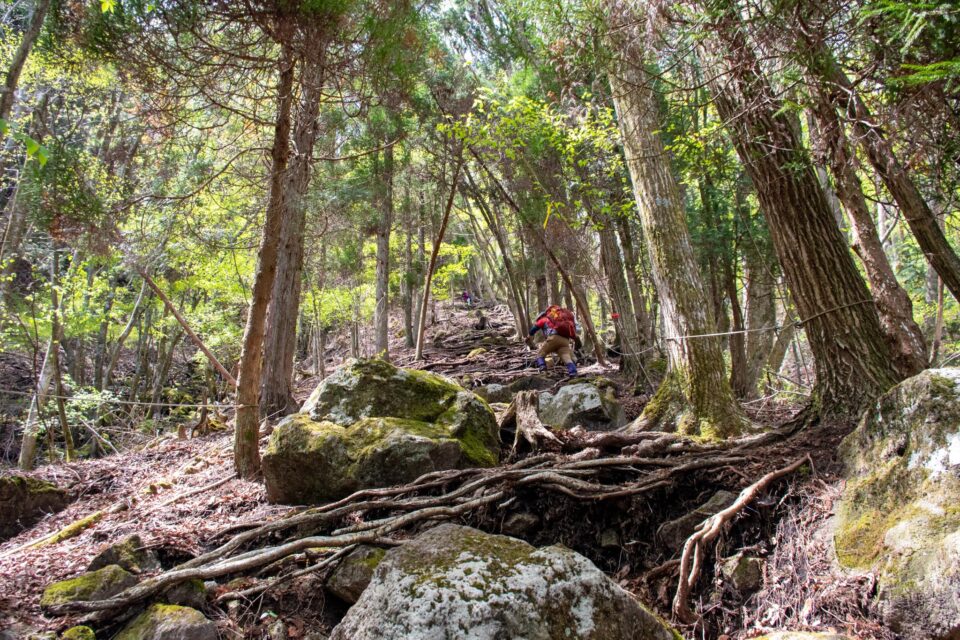 テン泊装備（約14kg）を背負っているのでめっちゃきつい。普段ならそこまでしんどくないと思うけど、ザックが重すぎて身体を取られ、なかなか進まず。