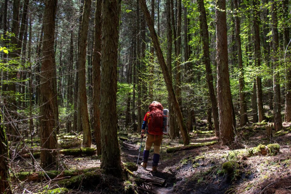ただ、脚の付け根が痛くなり、歩くと痛く止まると楽なので、しょっちゅう休憩を挟み始める。