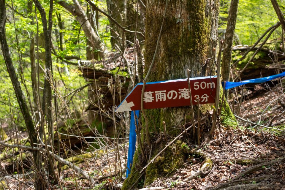 足腰が痛くて時間がかかっていたので暮雨の滝はスルー。木々の葉っぱがまだあまり無いから上からでもちょっとだけ滝が見えた。