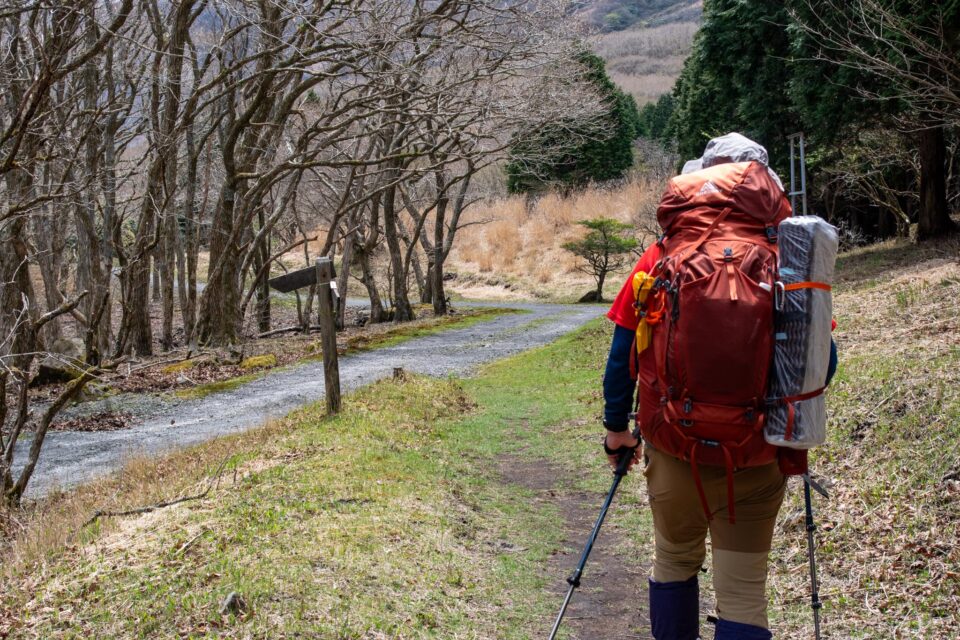 お、これは見覚えのあるやつ！