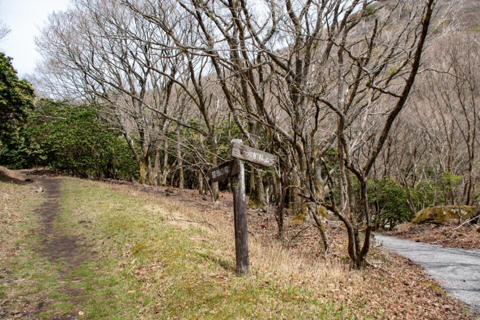 前年の下山時に雨に打たれながら歩いた大船林道との合流地点までやってきました。