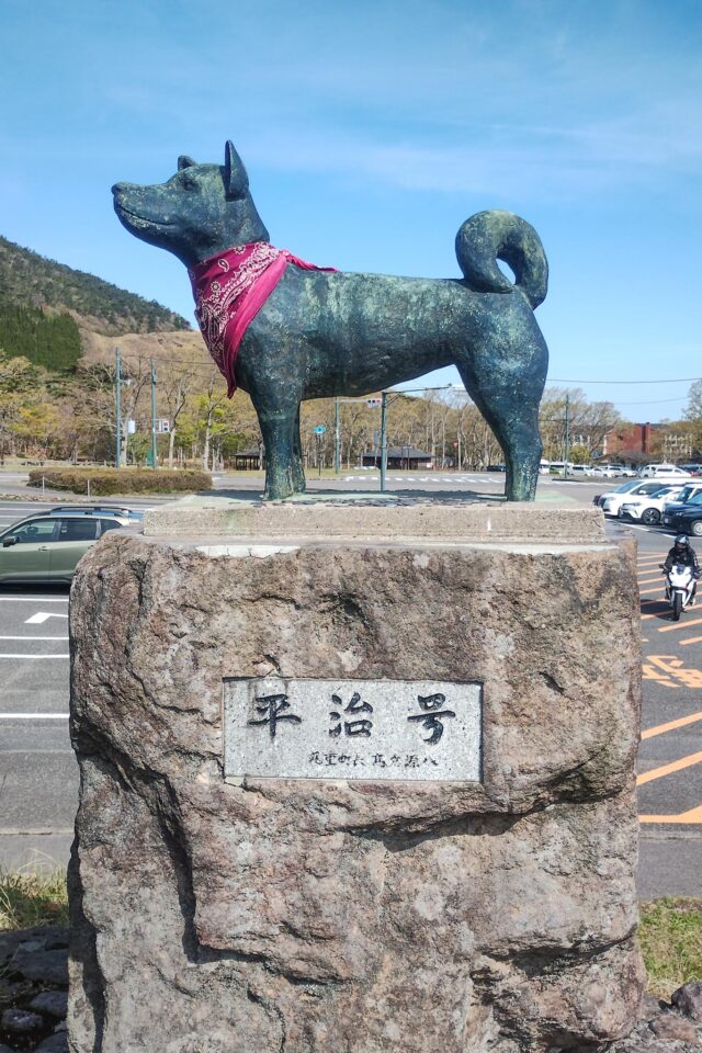 1年ぶりの平治ちゃん（女子です）