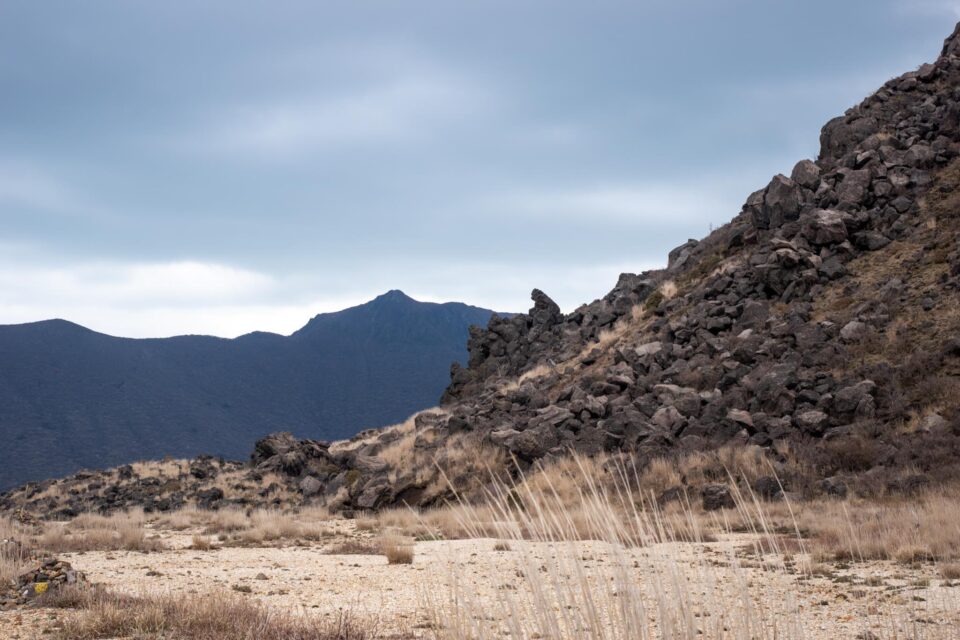 ゴリラ岩、ただいま！