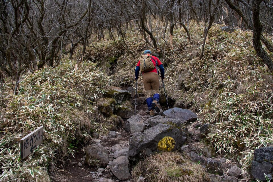 朝イチに急登が続き、しんどかった。心拍数がやばい。
