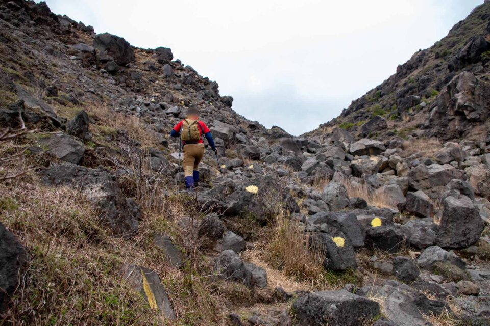 ただ、マークがいたるところにあるので、え？どれ？って悩む時もある、笑