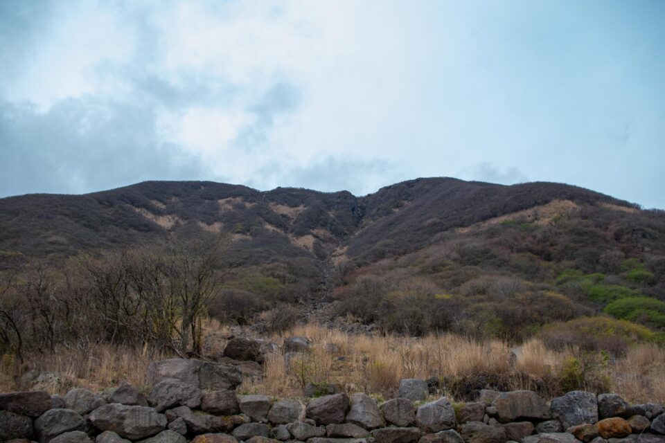 予報通りの強風＆曇り空
