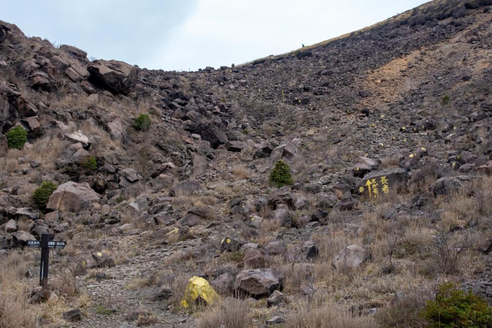 諏蛾守越（すがもりごえ）の直下にて。ここを越えたら長者原登山口に行ける。右手に登れば三俣山。いつか、諏蛾守越コースで長者原から来てみたいなと思ってるが、テン泊装備だとしんどそうだな。