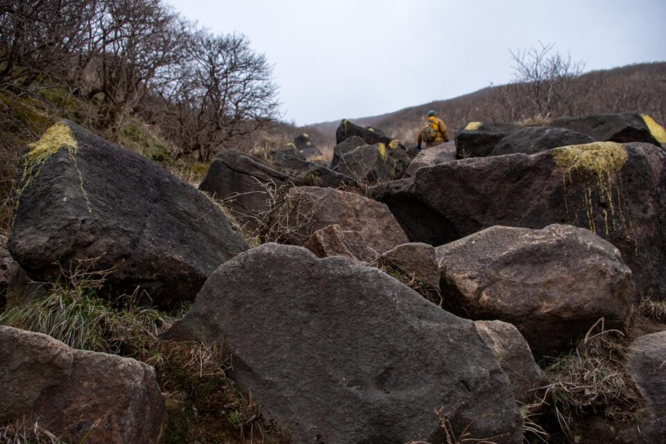 途中ですれ違った登山者さんが星生山山頂は爆風で立ってられなかったと言うのでビビりながら進む