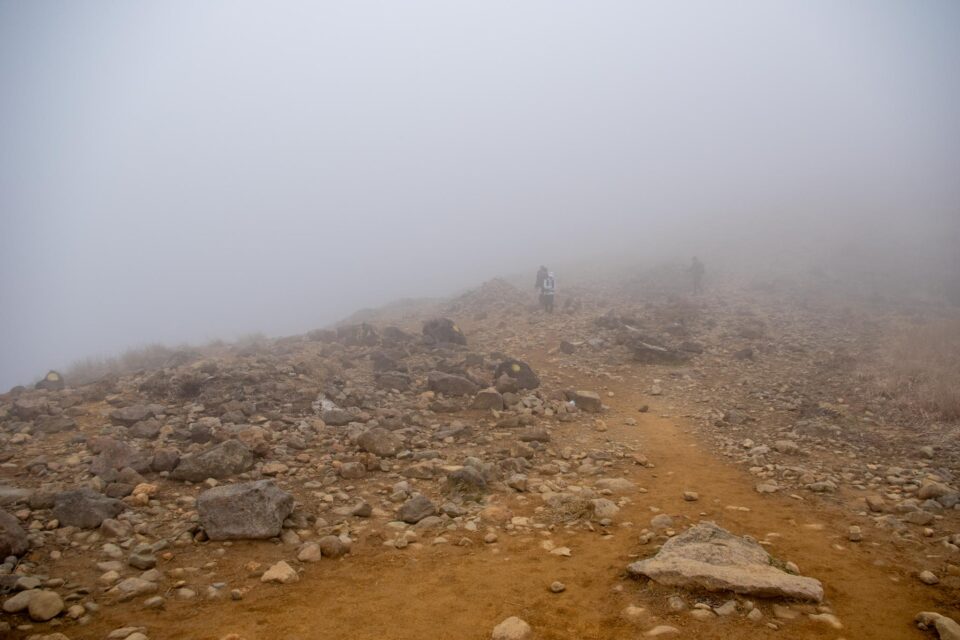 久住分かれまで登ると、山頂でもないのに既に爆風じゃないかー！身体を持っていかれそう。しかもガスガスで山なんて一つも見えないし。