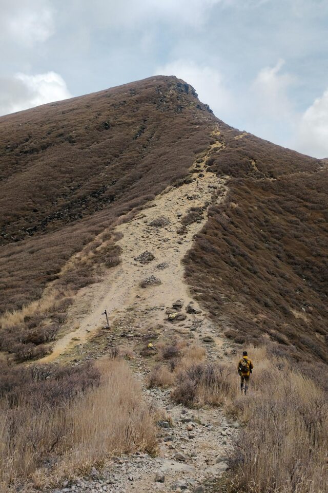 久住山を下山して天狗ヶ城に向かう道を進んでますが、爆風過ぎてこれは天狗ヶ城に登るのはきついなと。そもそも避難小屋で想定外の待機時間を過ごしたので、そろそろ戻らなければ。