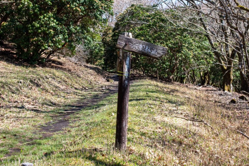 帰りはまた大船林道を歩くことに。雨上がりの吉部コースは急坂に張り巡らされた木の根っこが滑りやすくて事故多発らしく、やめた方がいいと聞いたので。