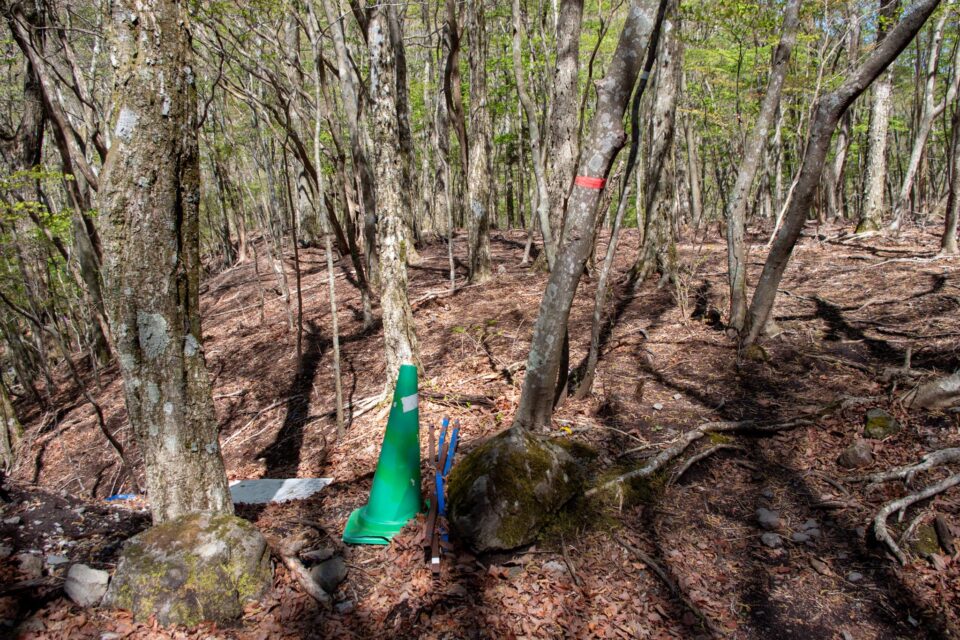 ここからショートカットして鳴子川沿いに吉部登山口に下りるルートもいつか歩いてみたい。