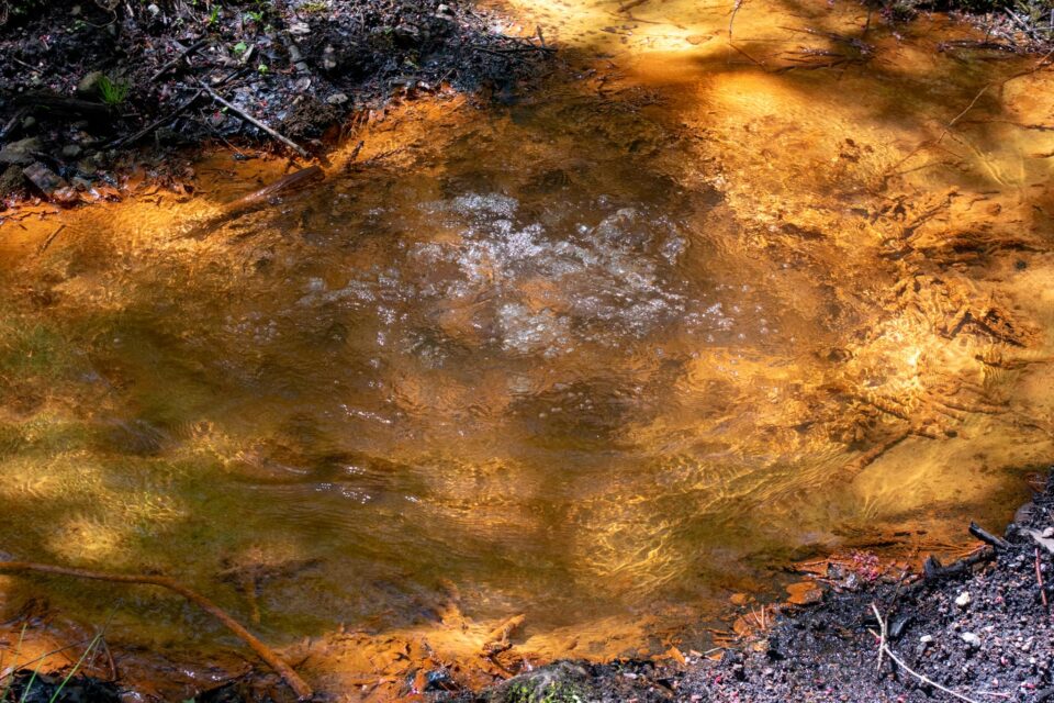 温泉か冷泉か分からないけどブクブク湧いてました