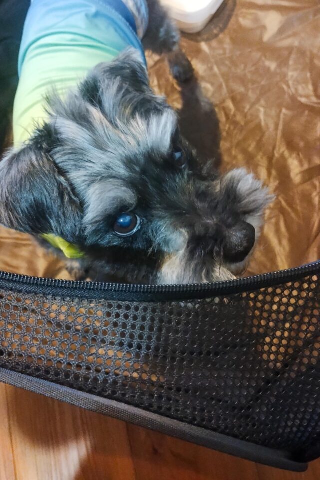 ちよまるくんと久しぶりの時間